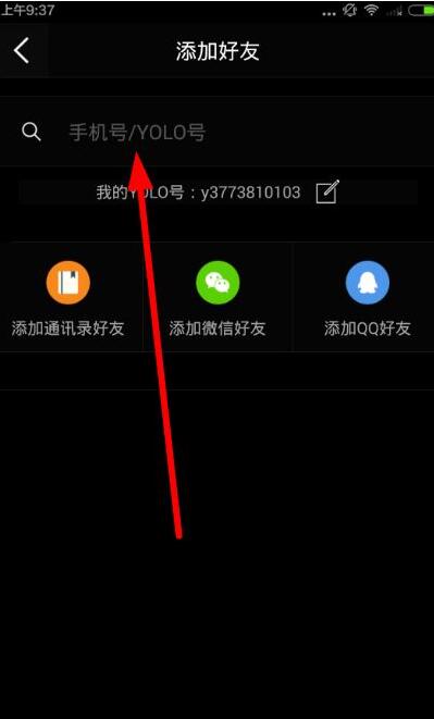 养了4年的猫把主人咬到输液1周